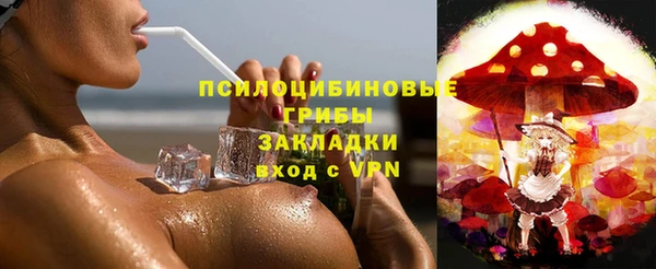 a pvp Аркадак