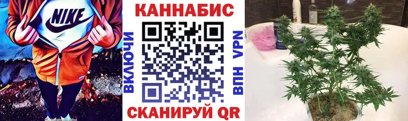 Купить где  Тейково  Каннабис VHQ 